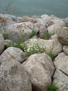 Rocks