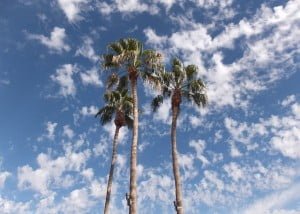 Scottsdale-Anthem palms at outlet mall