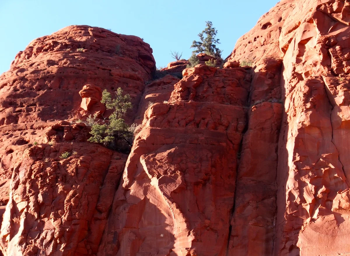 A lion in the rocks