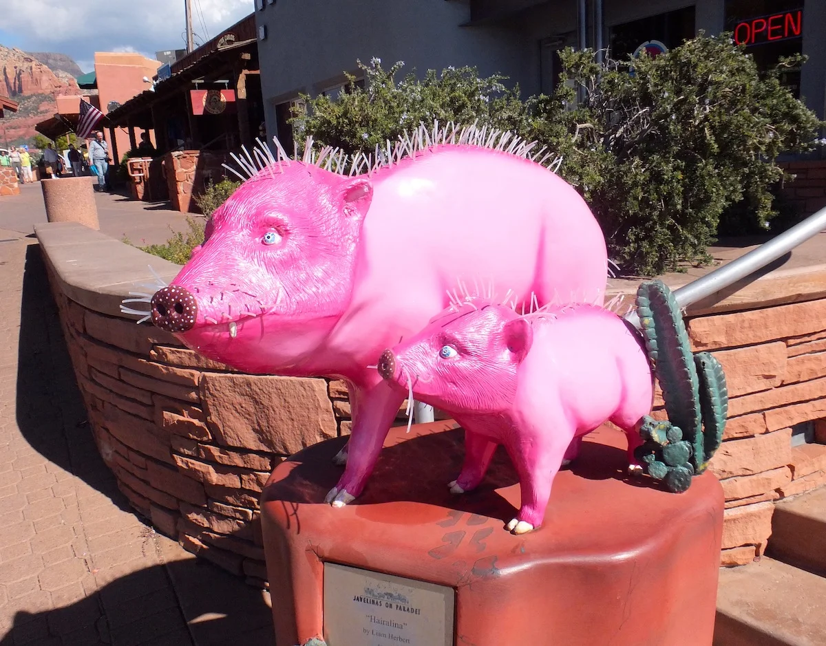 Decorated Javelinas throughout Sedona. Bolted down, unfortunately...