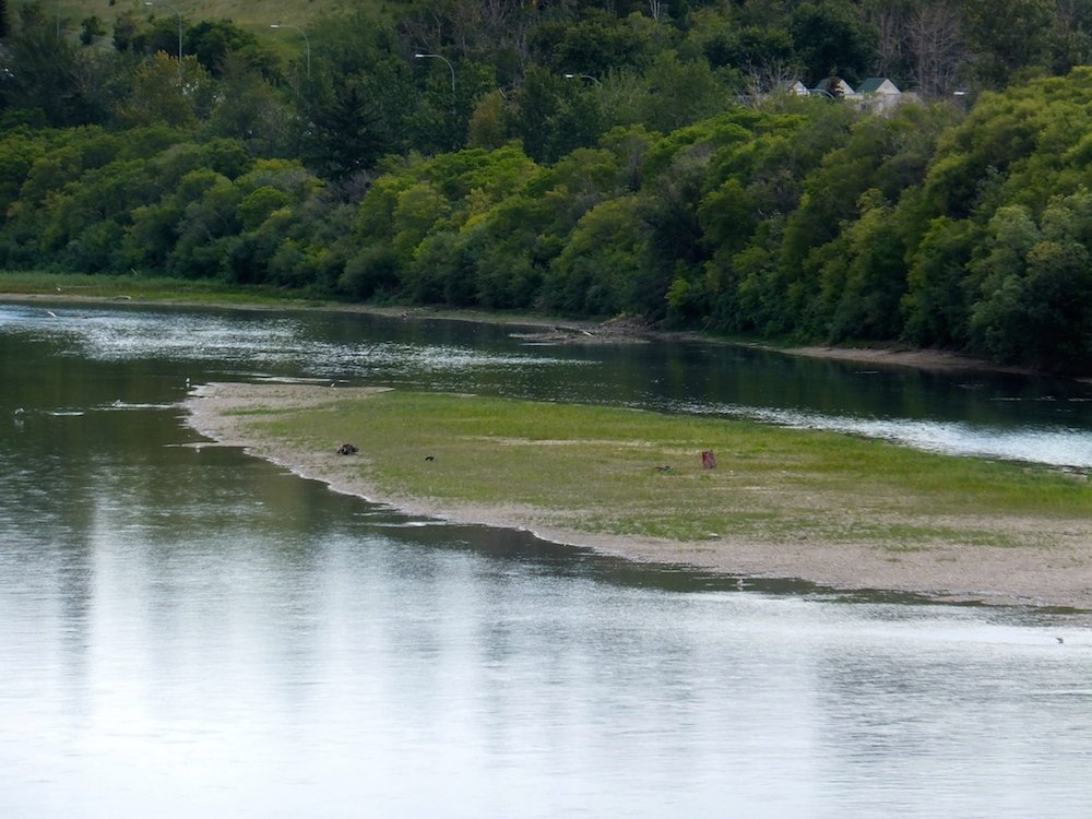 Seagull Island on the North Saskatchewan River