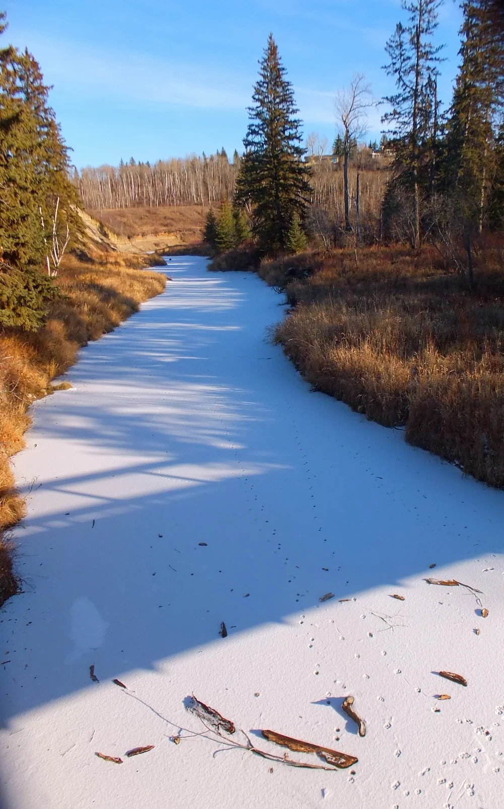 Frozen Creek