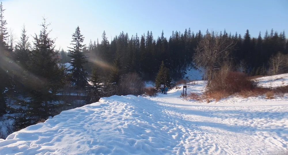 Whitemud end2