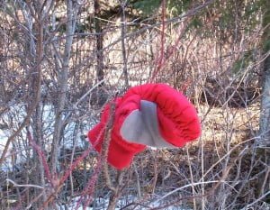 The rare Glovewood Tree in bloom