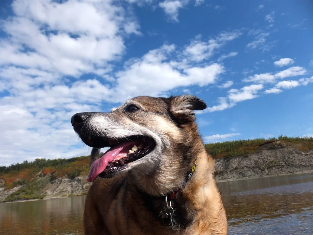 Maggie blue sky