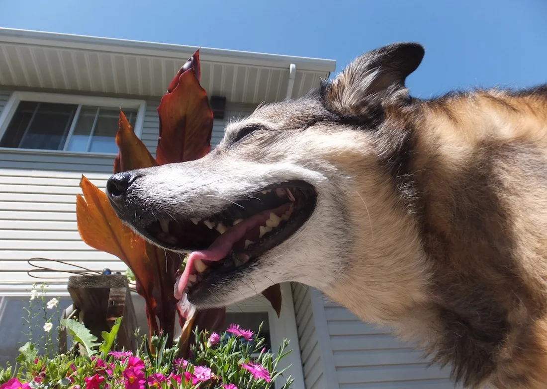 Maggie smiling